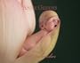 Anne Geddes Inspirational Collection: 2007 Day-to-Day Calendar