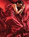 6 Piece Double Bed Satin Duvet Cover Set Bedding Red Image
