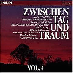 Zwischen Tag und Traum Vol. 4