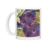 Newspaper, SEM Photo Mugs