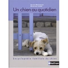 Un chien au quotidien