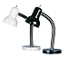 Lite Source LS-211BLK Goosy Desk Lamp, Black