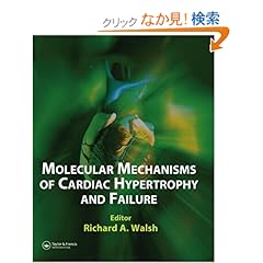 【クリックでお店のこの商品のページへ】Molecular Mechanisms of Cardiac Hypertrophy and Failure