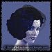 Black Bridal Foundation Birdcage Veil