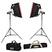 RPS Portable Studio Plus Light Kit