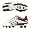 White/Black/Red