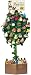 Audubon Bird Wall Tree Display