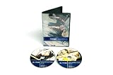 41QKq3UZxzL. SL160  Total Gym Blast Vol. 12 Series DVD Set
