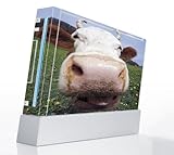 Big Nose Cow Decorative Protector Skin Decal Sticker for Nintendo Wii Conso ....