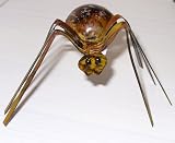 Eigenschaften Haus und Gärtchen  / Spinne aus Metall 10 cm