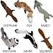 Skinneeez - 6 - 1 of each style