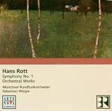 symphony no.1/orchestral
