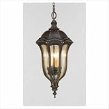 Baton Rouge 4 Light Outdoor Hanging Lantern