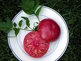 41QL7ERx4NL. SL160  30 Brandywine Tomato Seeds Vegetable Heirloom Organic