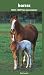 Horses 2008 - 2009 Pocket Planner
