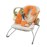 Fisher Price Dreamsicle CollectionTM Heartbeat BouncerTM