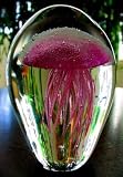 Glowing Jellyfish with LED 4 color Light Base - Pink JellyFish Glows in the Dark Too