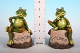 Frog Sitting On Welcome Sign (533832) 2/Set