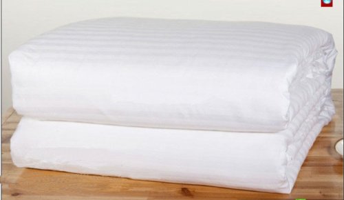 Lake snow silk (100% silk, summer quilt,2.0Kg, White)