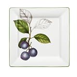 Villeroy & Boch Cascara 10 1/2 square dinner plate set of 6