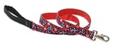 Lupine Large Dog Leash - Wave Hound 6 ft.
