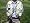 BW Sports Outfitter Fly Fishing Vest