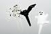 Spooky Cupcake Picks - 24ct