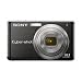 Sony Cybershot DSC-S950 10MP Digital Camera with 4x Optical Zoom with Super Steady Shot Image Stabilization (Black)