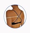 BRA Strap Concealer / Holder Clip - Racerback Converter - Posture Support & Breast Boost (Includes 3 Clips)