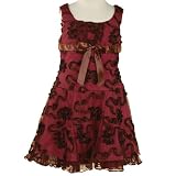 Girls Special Occasion Dress BURGUNDY Fall Holiday Dresses BONNIE JEAN Girl 7-16