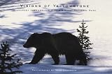 Visions of Yellowstone: A Journey Through the World's First National Park