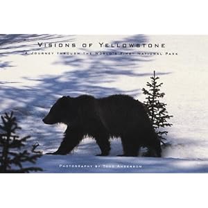 Todd Anderson - Visions of Yellowstone Reviews