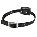 Automatic and Rechargeable No-Bark Collars