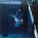 Mes disques pr�f�r�s du moment