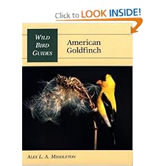 American Goldfinch (Wild Bird Guides)