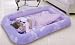 Kitchen & Housewares : Children's Flocked Airbed