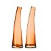 LEONARDO 086501 - Set/2 Vasen Banana 25 cm orange