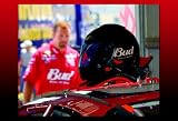 BooBoo Dale Jr. Racing Pride 13 x 19 Glossy Print