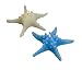 Biedermann & Sons Six Starfish Candles