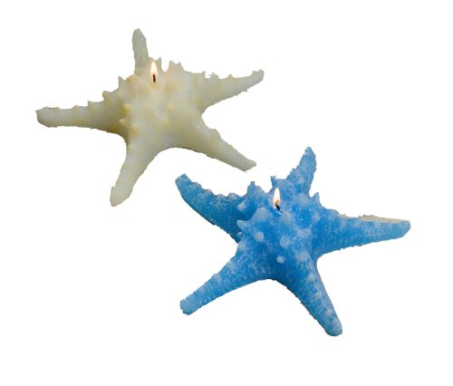 Biedermann & Sons Starfish Candles (Pack of 6)