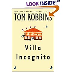 Villa Incognito