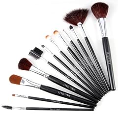 Kosmetik Make-up Brush Pinsel Set Pinselset x12 m Etui