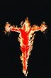 The Torch Poster - Alex Ross