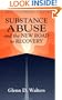 Substance Abuse And The New Road To Recovery: A Practitioner's Guide
