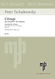 Plural policing : a comparative perspective
