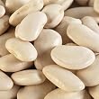 Corona Beans by ChefShop