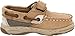 Sperry Bluefish Hook & Loop Boat Shoe (Infant/Toddler/Little Kid)