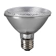 Eiko 14047 - 75PAR30/H/FL-120V - 75 Watt PAR30 Halogen Flood Light Bulb