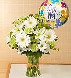 Flowers by 1800Flowers - Serene Green - Get Well - Small