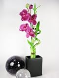 Cheap 9GreenBox - Live Spiral 3 Style Lucky Bamboo Plant Arrangement w/ Black Ceramic Vase & Silk Orchid Flower by 9GreenBox.com